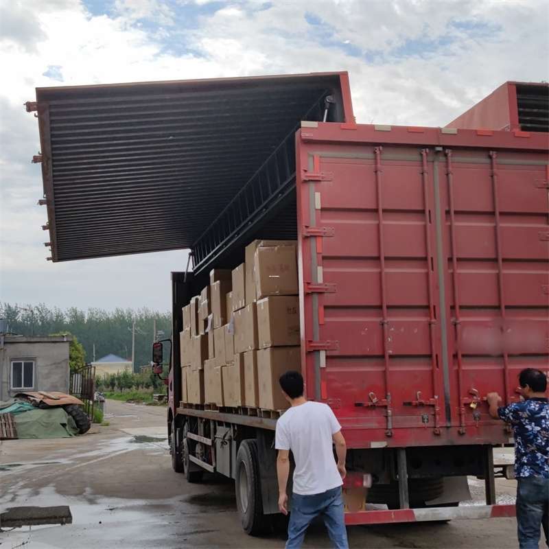 蓬江区扎囊县：物流专线的高效货运之旅